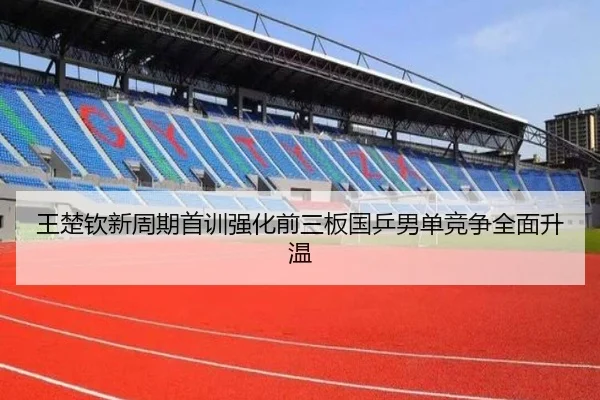 王楚钦新周期首训强化前三板国乒男单竞争全面升温
