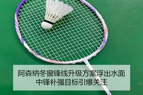 阿森纳冬窗锋线升级方案浮出水面 中锋补强目标引爆关注